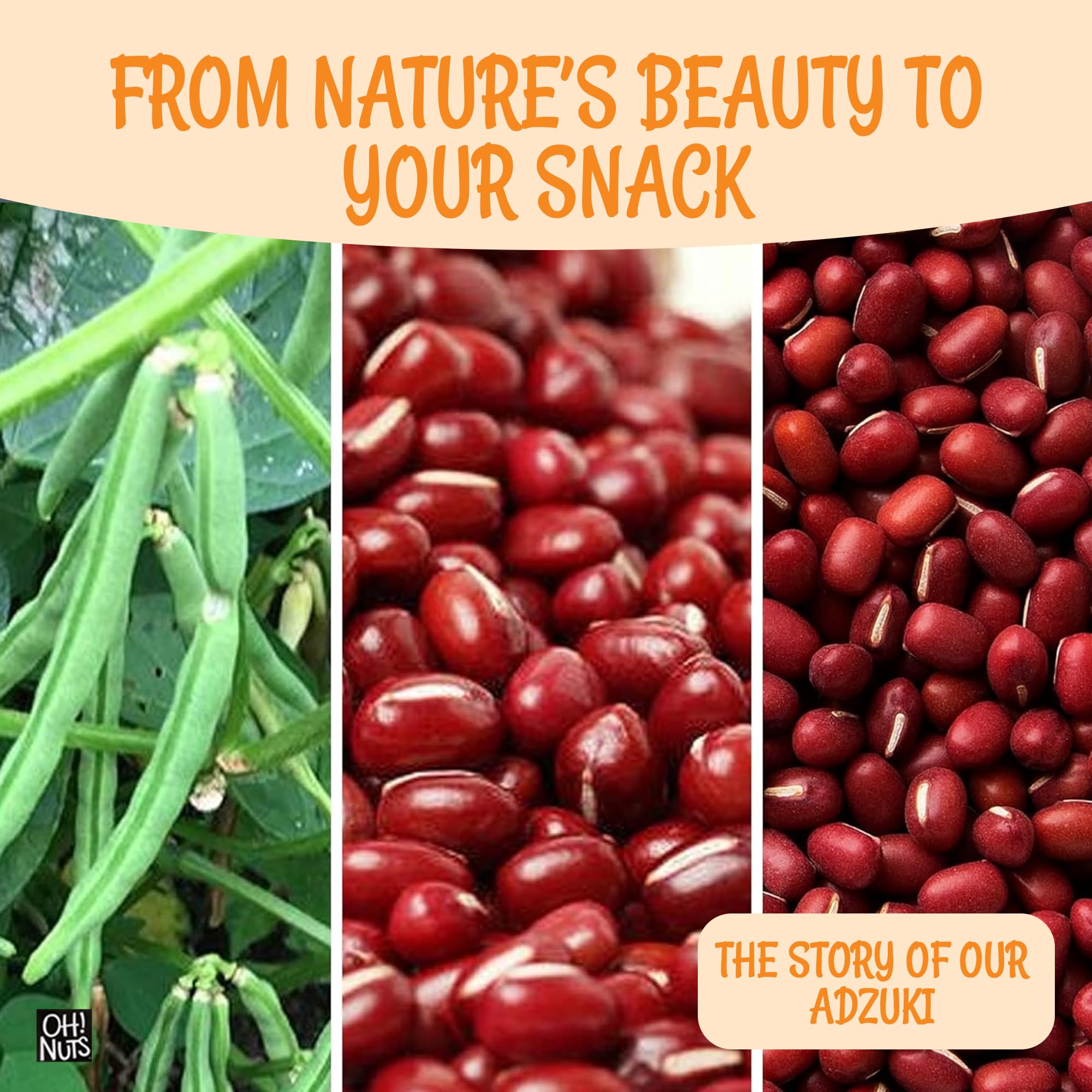 Amazon.com : Oh! Nuts Adzuki Beans - Raw - 100% Natural - 2 lb